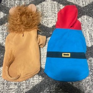 Dog Halloween costume